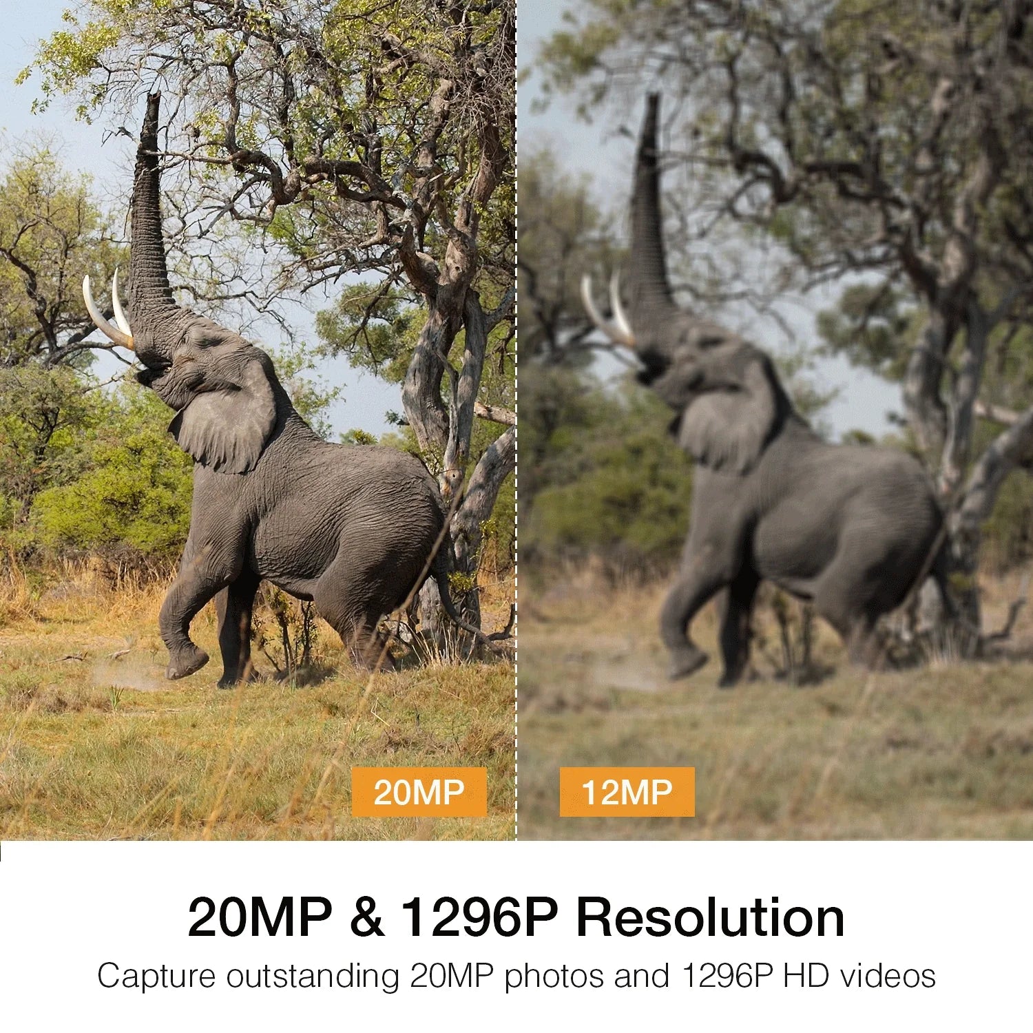 CAMPARK H80 WiFi Bluetooth Trail Camera 20MP 1296P Game Hunting Camera with Nigth Vision Waterproof