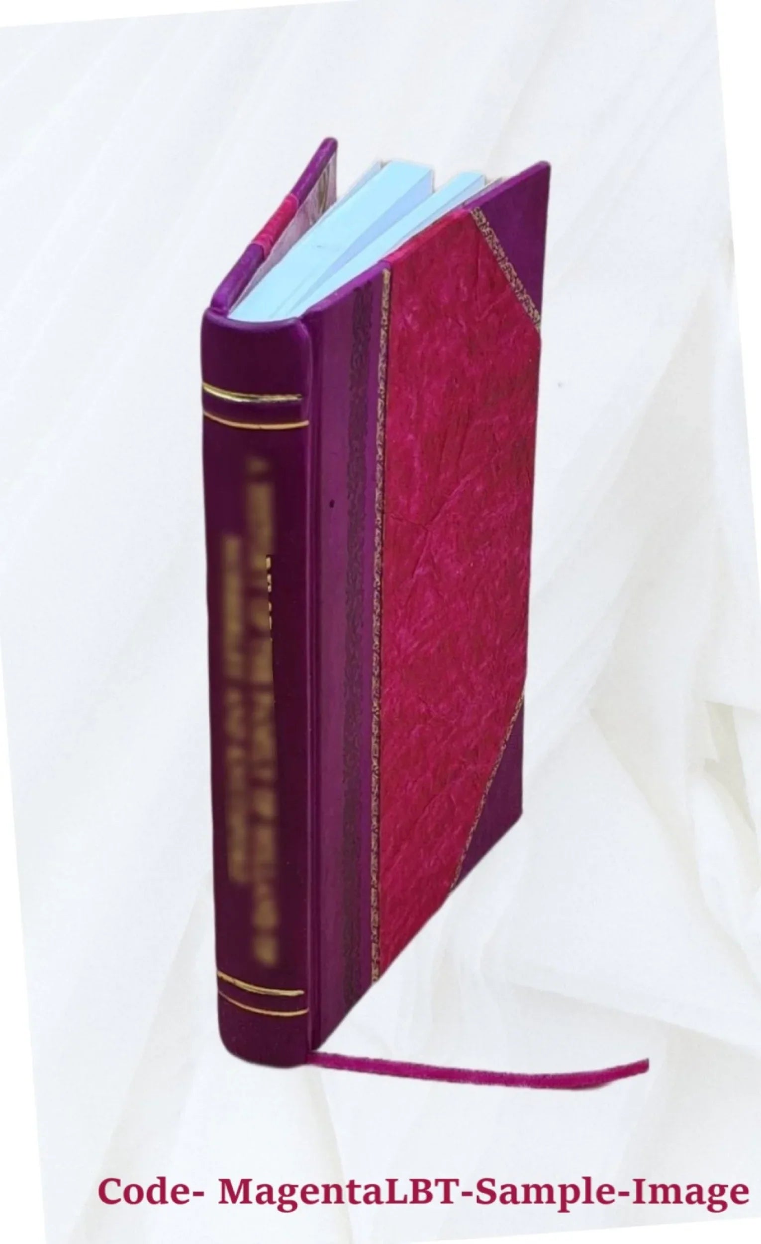 The effect of the physical make-up of a book upon children's selection by Florence Eilau Bamberger. 1922 [Leather Bound]