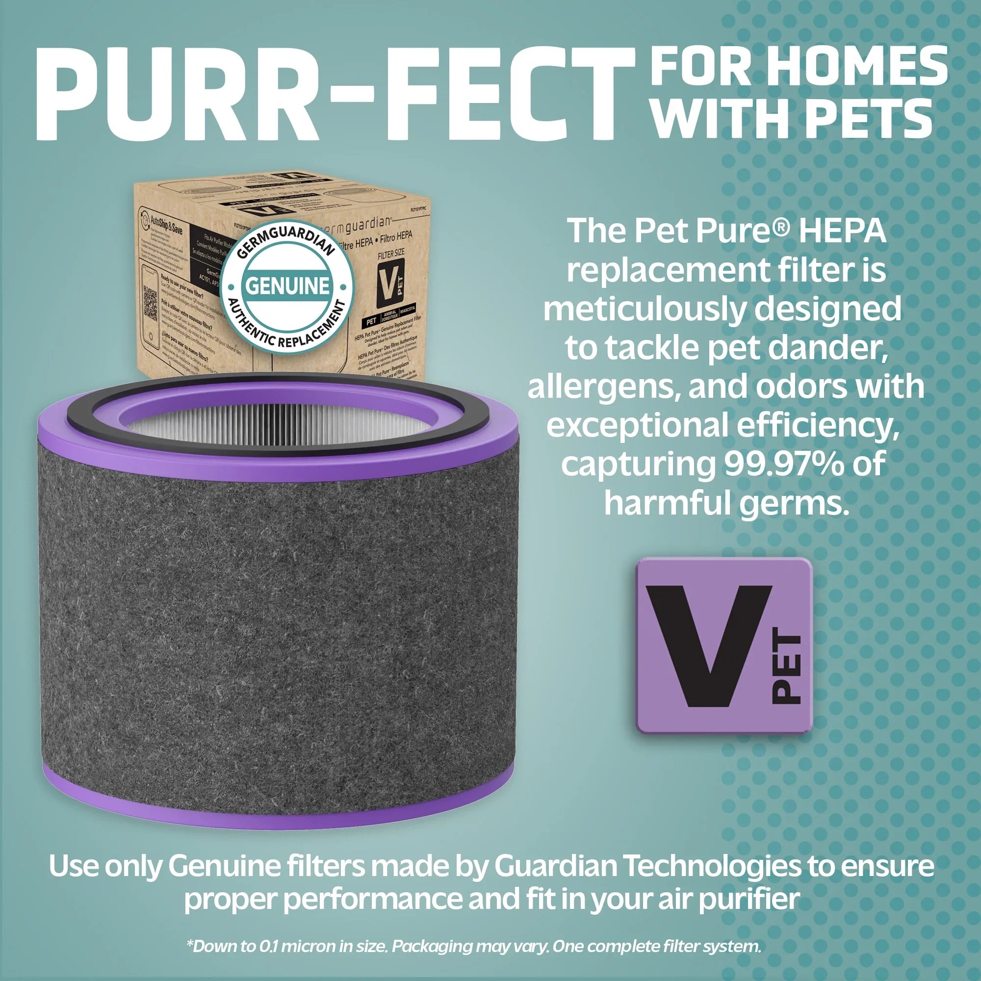 Germ Guardian Filter V Pet Pure HEPA Genuine Replacement Filter for AirSafe and AC151 Air Purifiers, FLT151PT