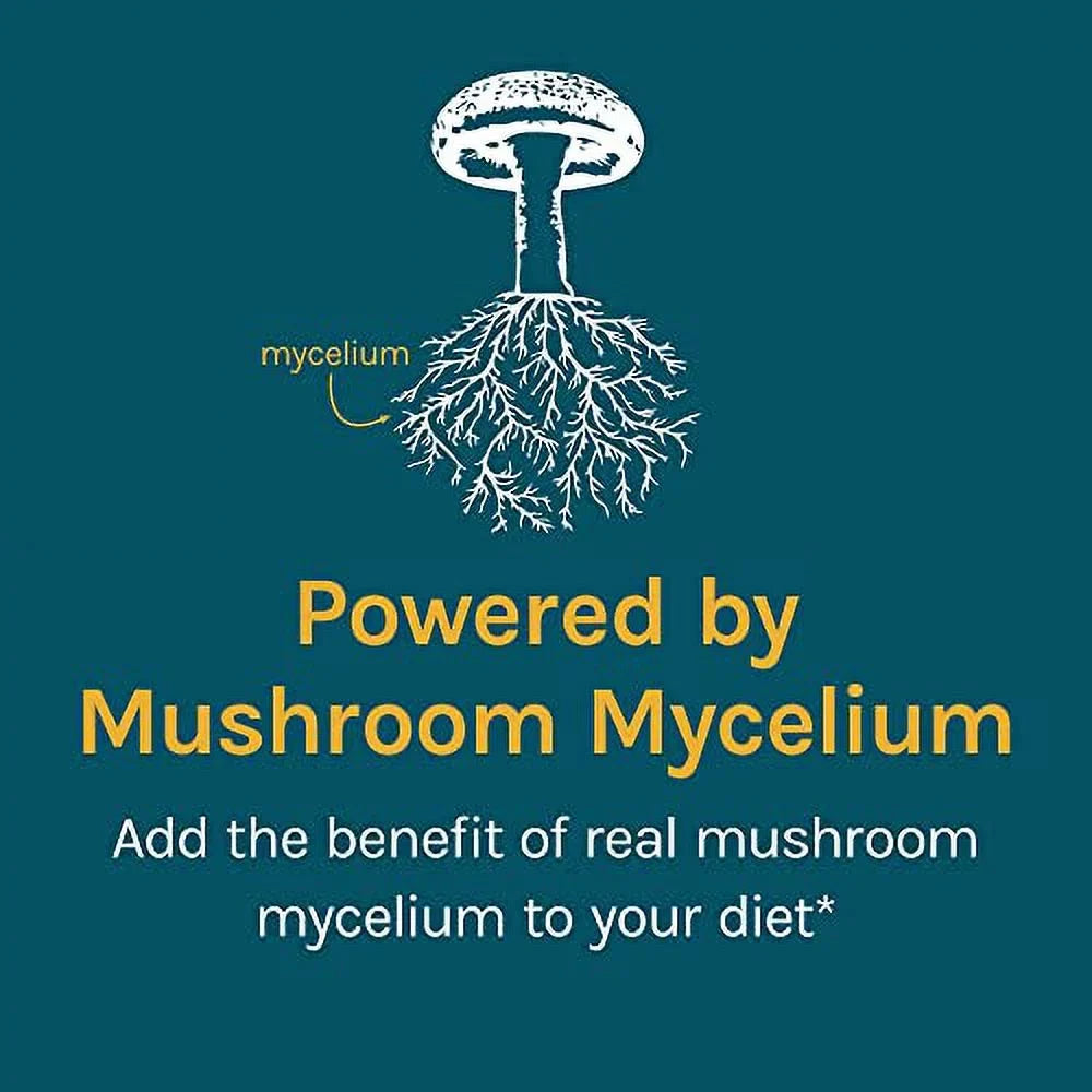 Host Defense, CordyChi Powder, for Stress and Fatigue Reduction, Mushroom Supplement, 100 G