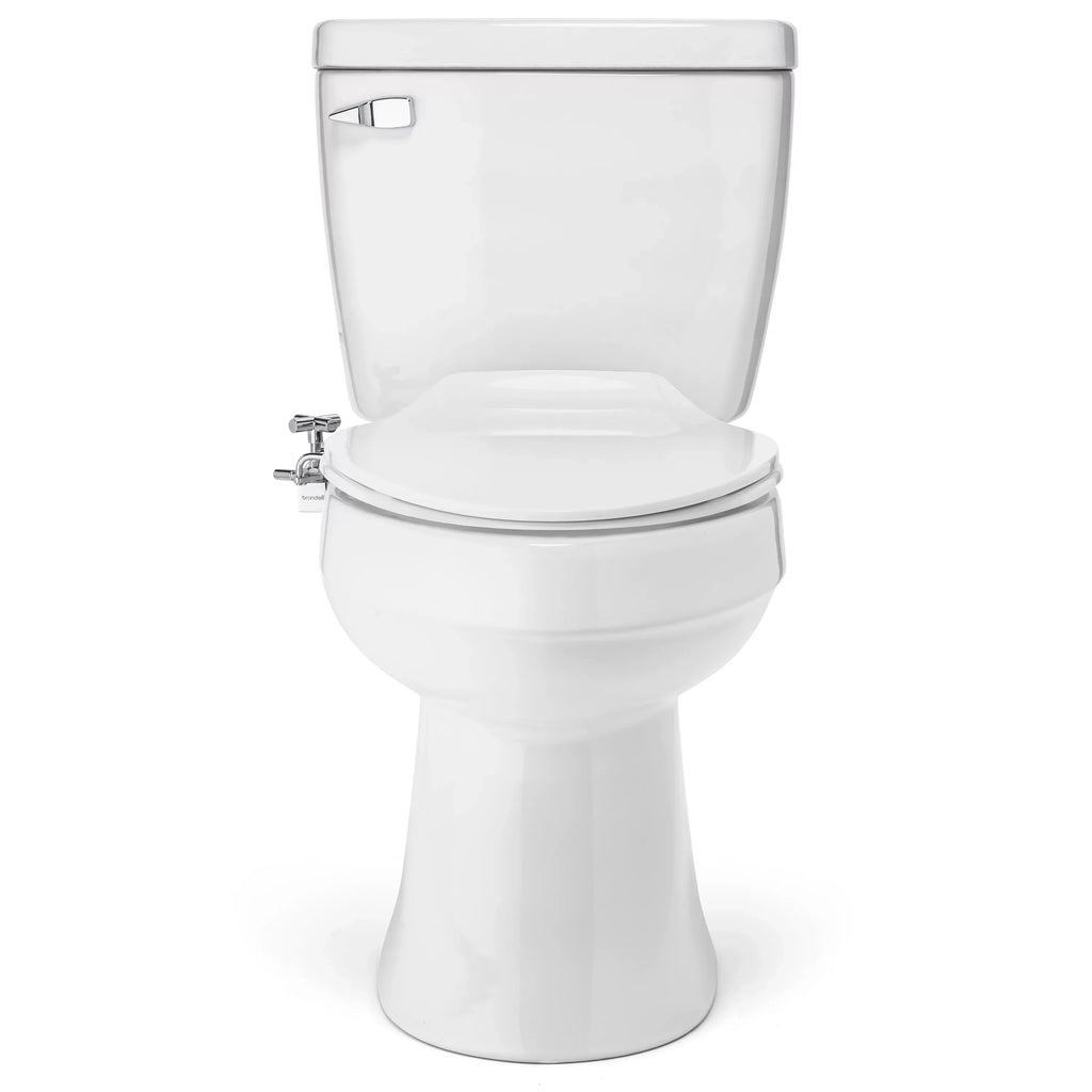 Brondell Side-Mounted All Metal Attachable Bidet with Adjustable Spray Wand, Ambient Temperature in Silver