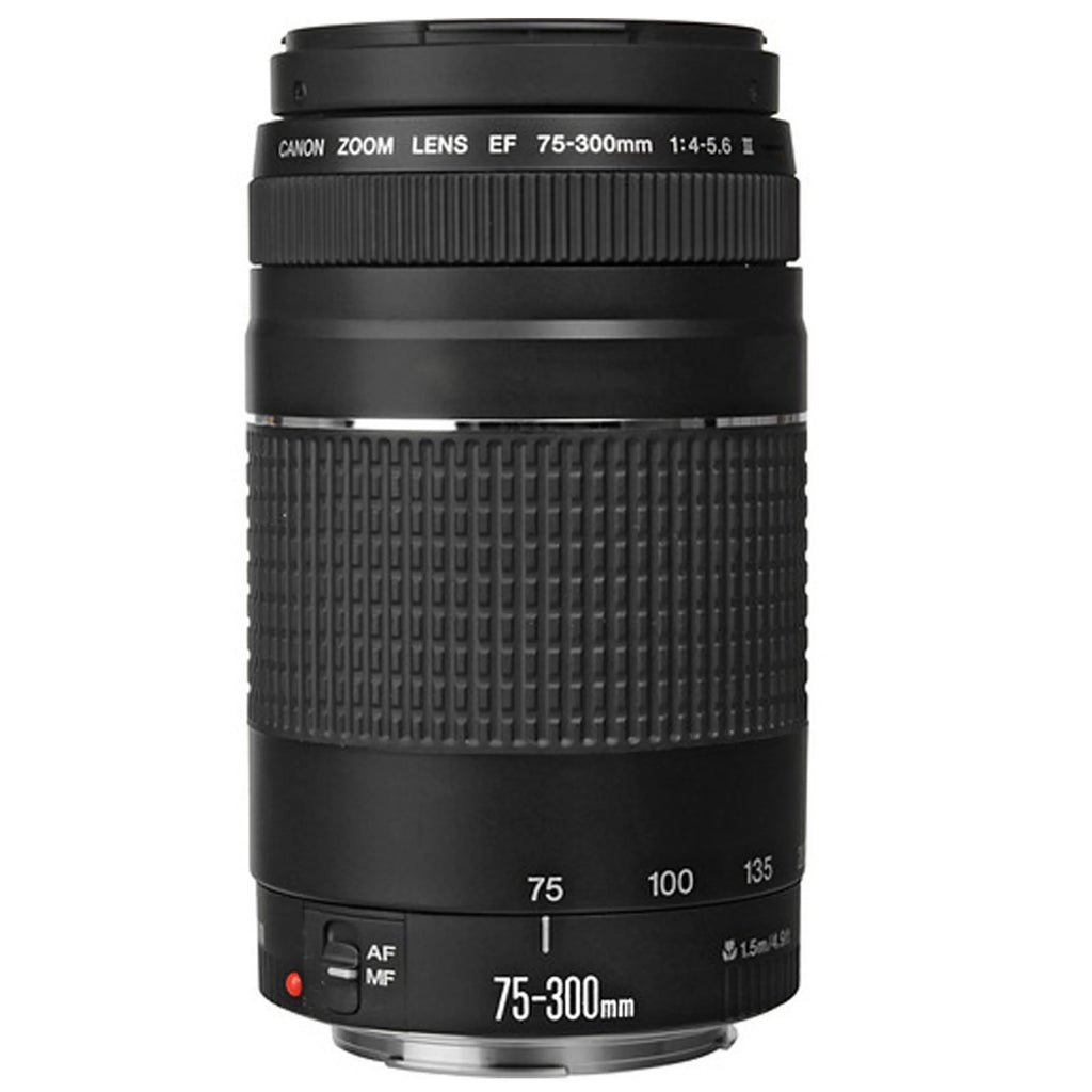 Canon EOS R5 Mirrorless Camera with RF 24-105mm f/4-7.1 IS STM Lens + Canon EF 75-300mm f/4-5.6 III Lens + 64GB Memory Card + Tripod + Case & More