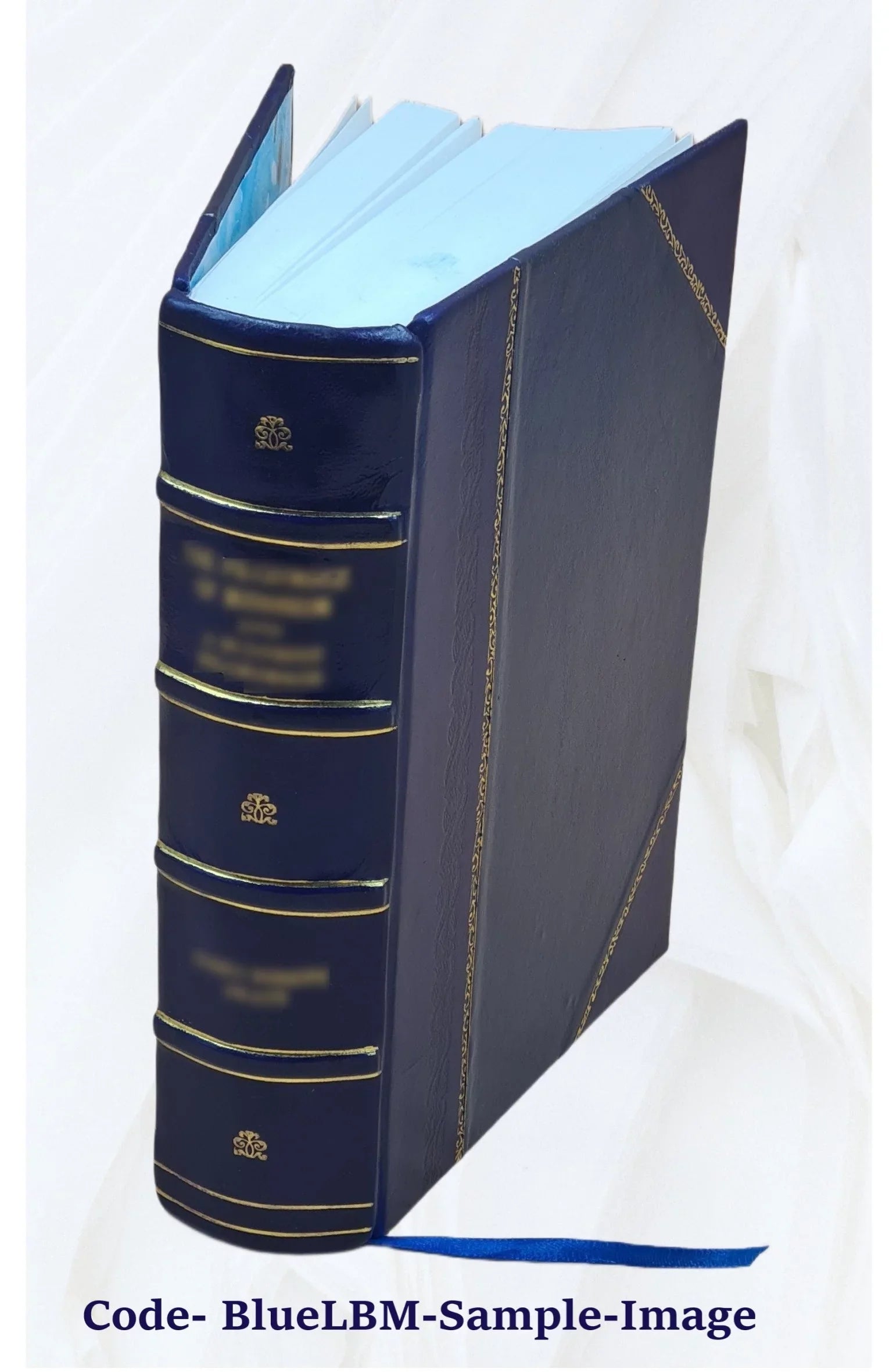 Ogasa-gun chagyōshi. 1926 [Leather Bound]
