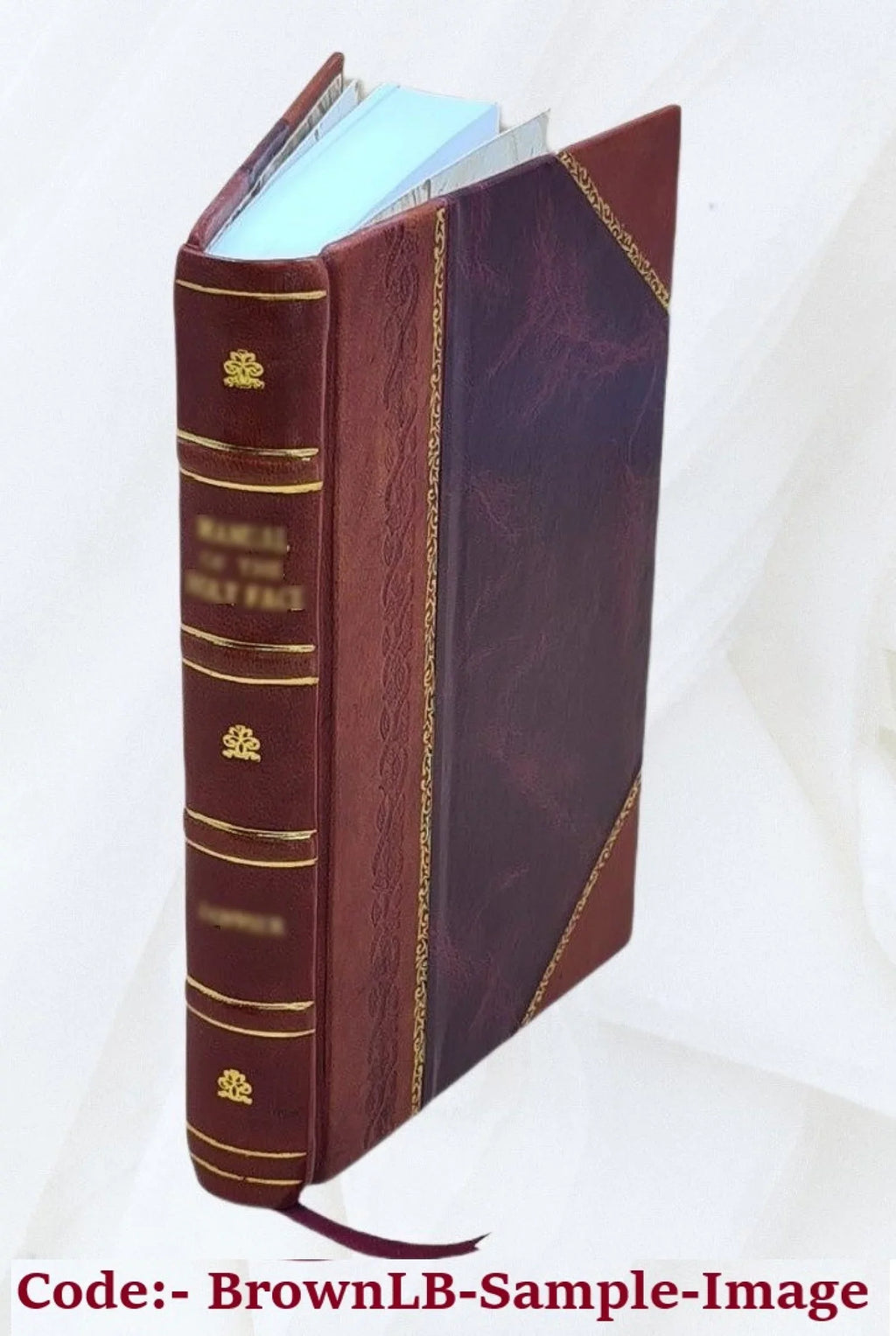 Vaga; or, A view of nature. A novel .. Volume 3 1815 [Leather Bound]