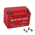 Banshee YTZ14S Motorsports Battery Matching with BMW F8000T (Auxiliary Battery)