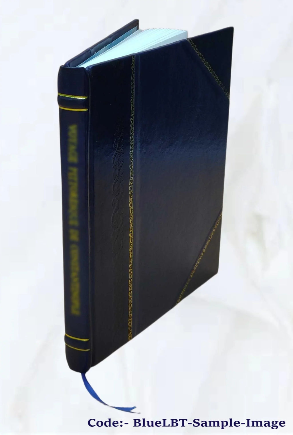 The effect of the physical make-up of a book upon children's selection by Florence Eilau Bamberger. 1922 [Leather Bound]