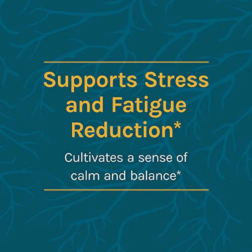 Host Defense, CordyChi Powder, for Stress and Fatigue Reduction, Mushroom Supplement, 100 G