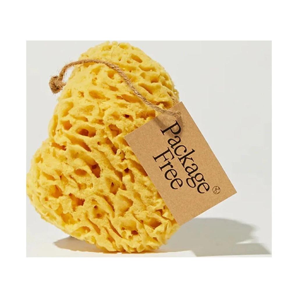 Package Free Sea Sponge & Body Bar Bundle in Citrus