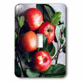 3dRose Apple - Single Toggle Switch (lsp_765_1)