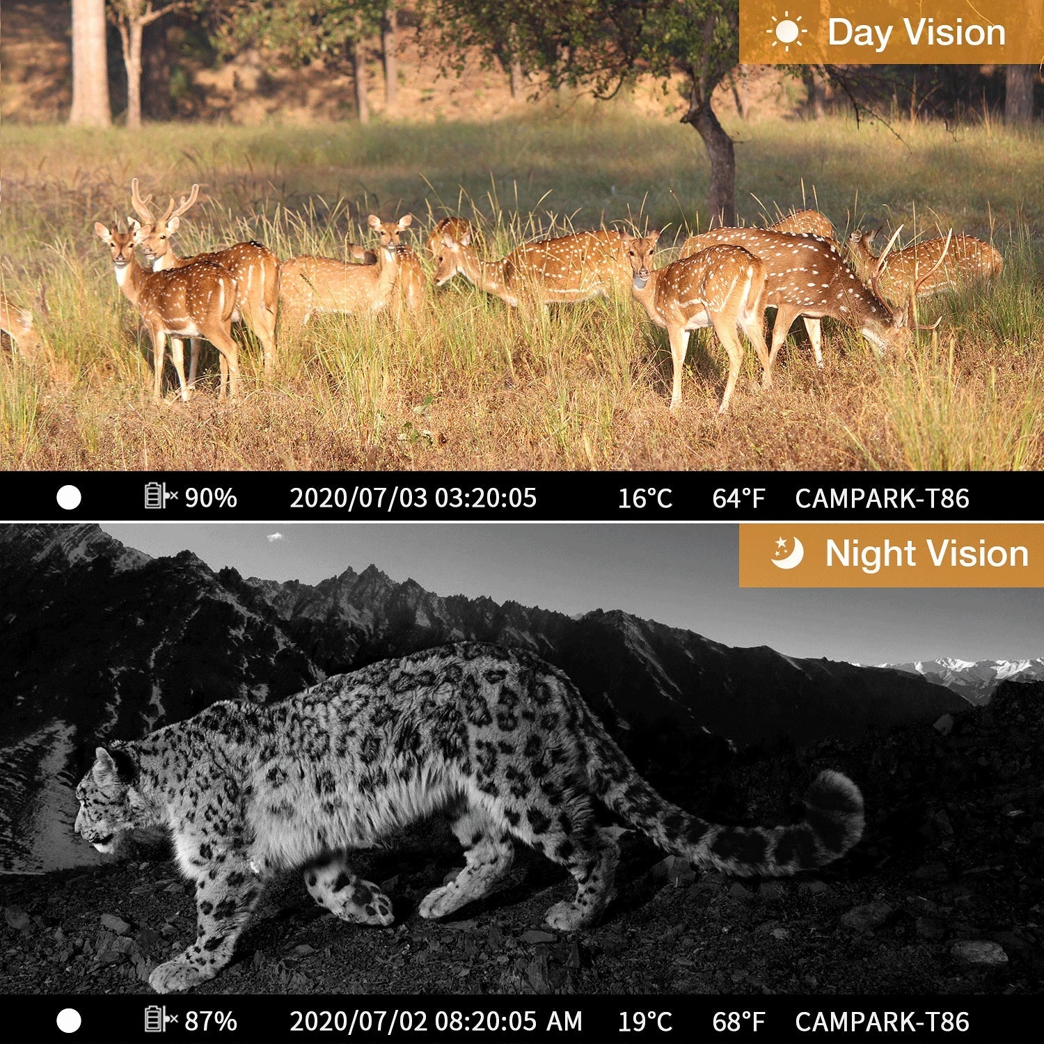 CAMPARK H80 WiFi Bluetooth Trail Camera 20MP 1296P Game Hunting Camera with Nigth Vision Waterproof