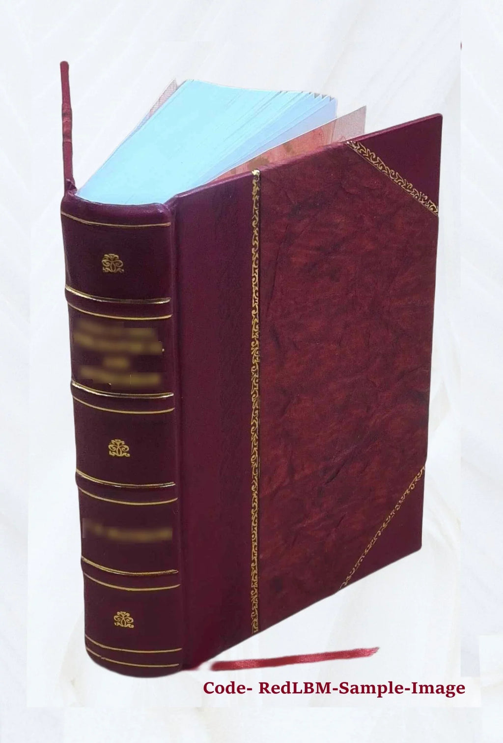 Le Prudent voyageur, contenant la description politique de tous les etats du monde, de l'Asie, de l'Afrique, & de l'Amerique, & particulierement de l'Europe. Ou sont methodiquement