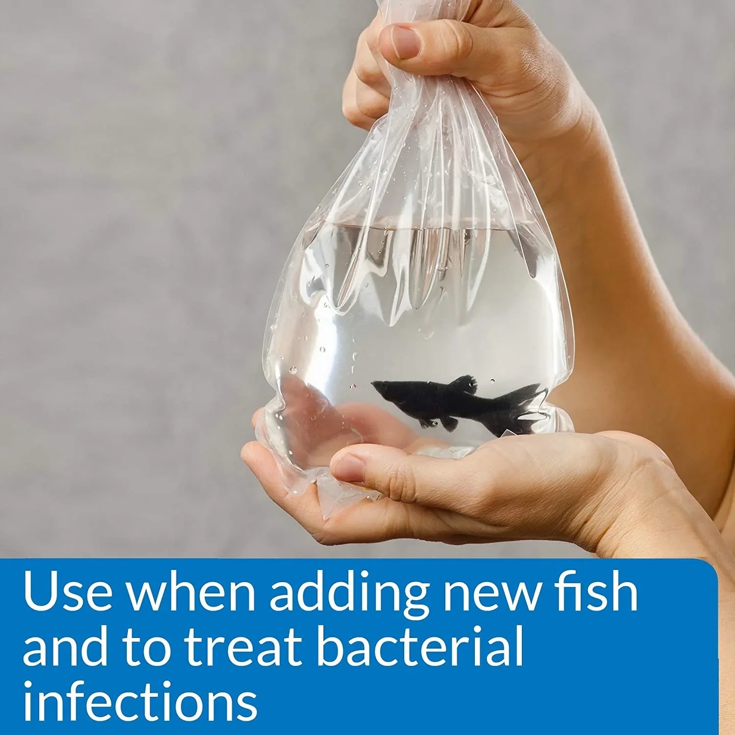 API MelaFix Treats Bacterial Infections for Freshwater and Saltwater Aquarium Fish [Aquarium Bacteria and Fungus Care, Aquarium Supplies] 32 oz (4 x 8 oz)
