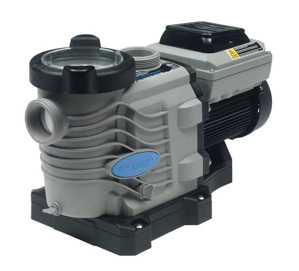 Blue Torrent 3 hp Variable Speed Swimming Pool Pump with 2" Unions, Adjustable Stand for Retrofit 3yr Warranty