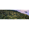 Giants Causeway Co Antrim Ireland - Area Designated A Unesco World Heritage Site with Basalt Columns Poster Print by The Irish Image Collection - 34 x 11