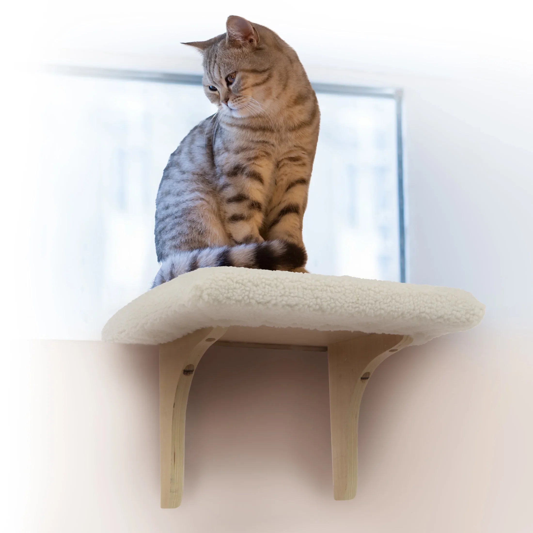 SmartyKat Paw Perch Padded Self-Adhesive Windowsill Mounted Cat Perch & Plush Wrap Cream